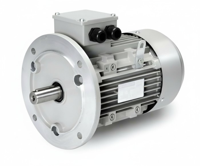 Silnik elektryczny trójfazowy 1,1kW 1380 obr/min B5 Y3-80C4 MOLL-MOTOR (1)