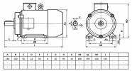 mini: Silnik elektryczny trójfazowy  1,1kW 1390 obr/min  B3 Y3-90S4  MOLL-MOTOR (2)