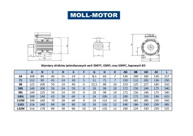 Silnik elektryczny jednofazowy 0,12kW 1390 obr/min B3 GMYY 63M14